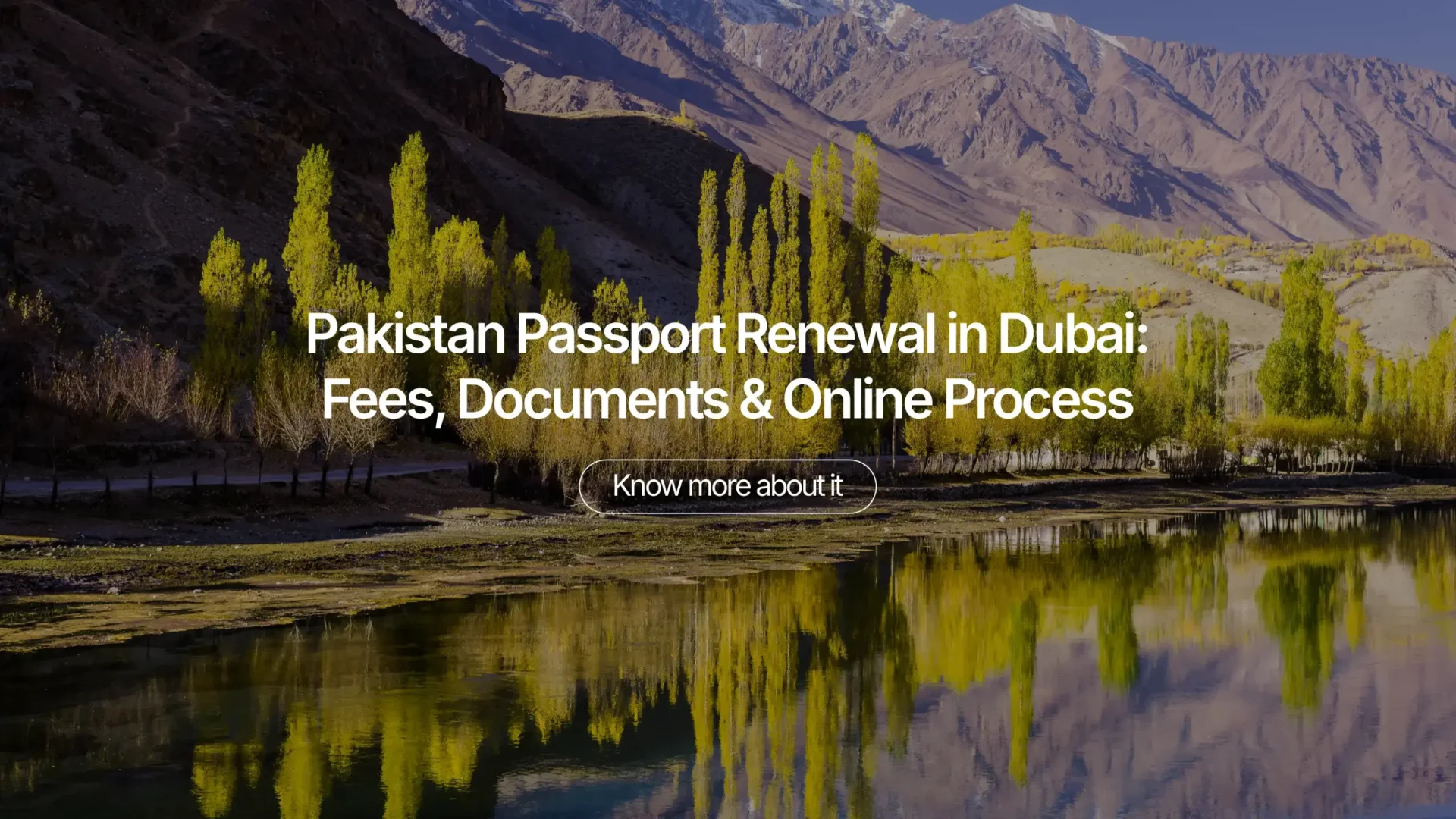 Pakistan Passport Renewal in Dubai: Fees, Documents & Online Process