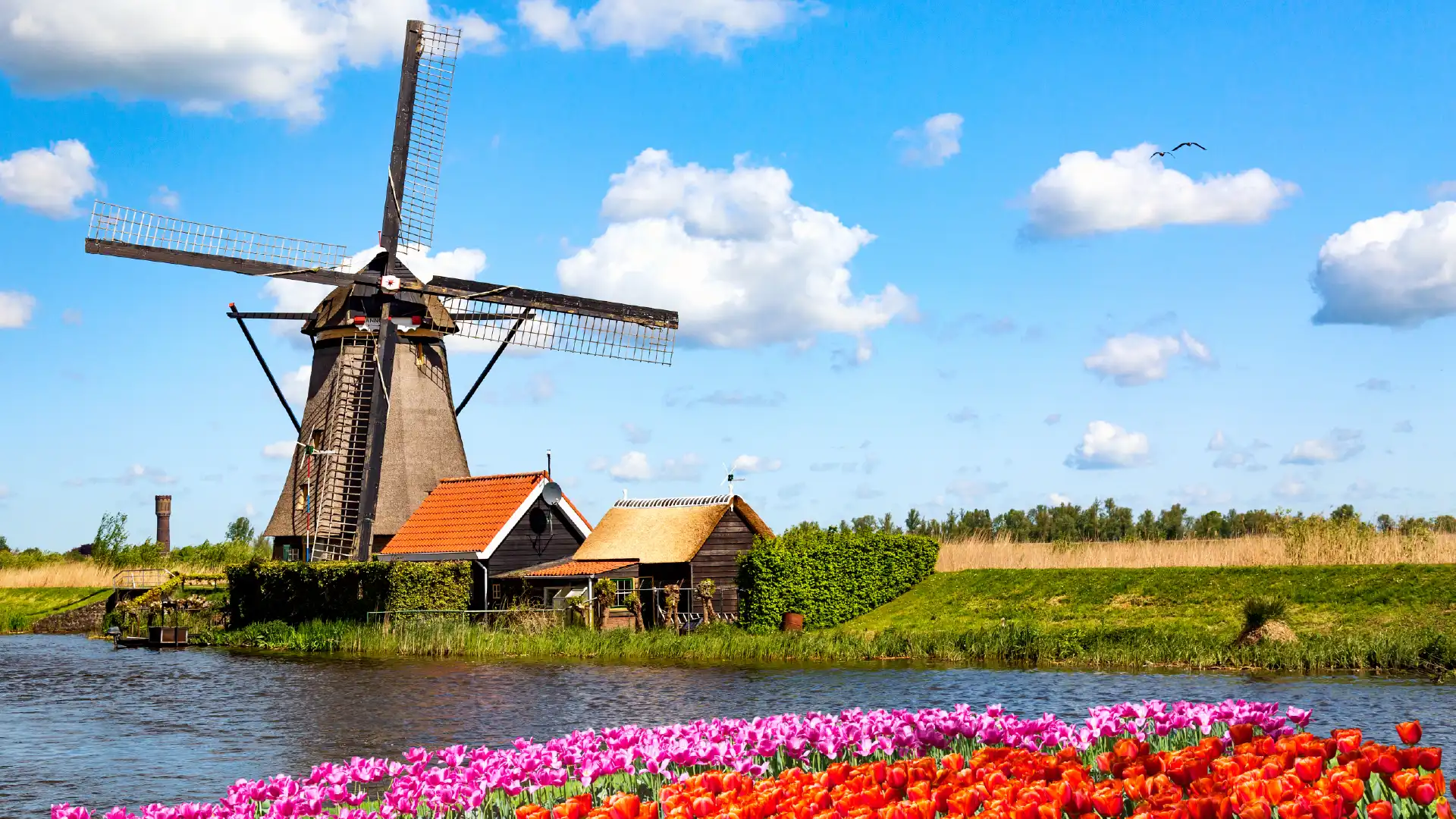 Netherlands