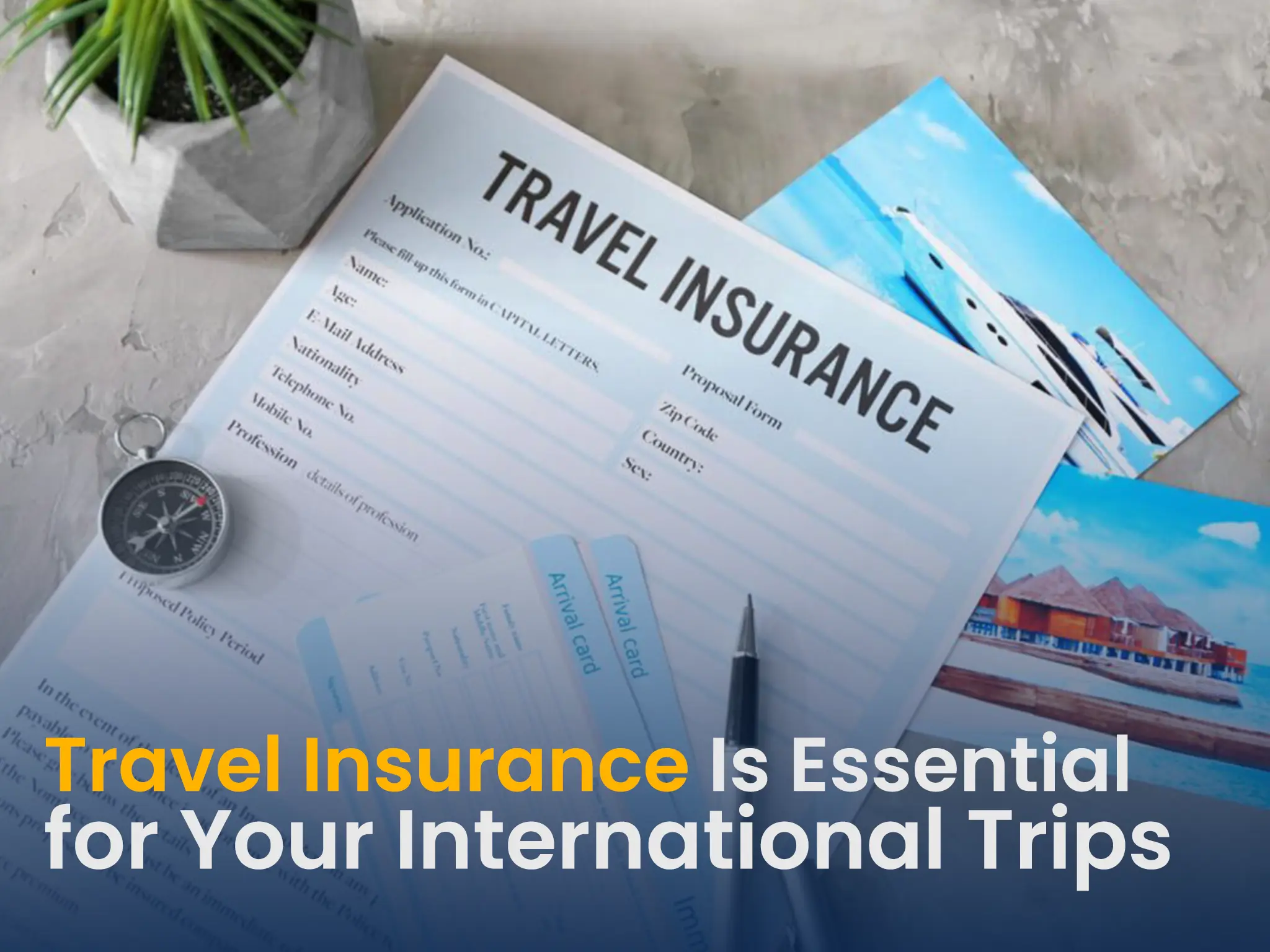 Travel Insurance